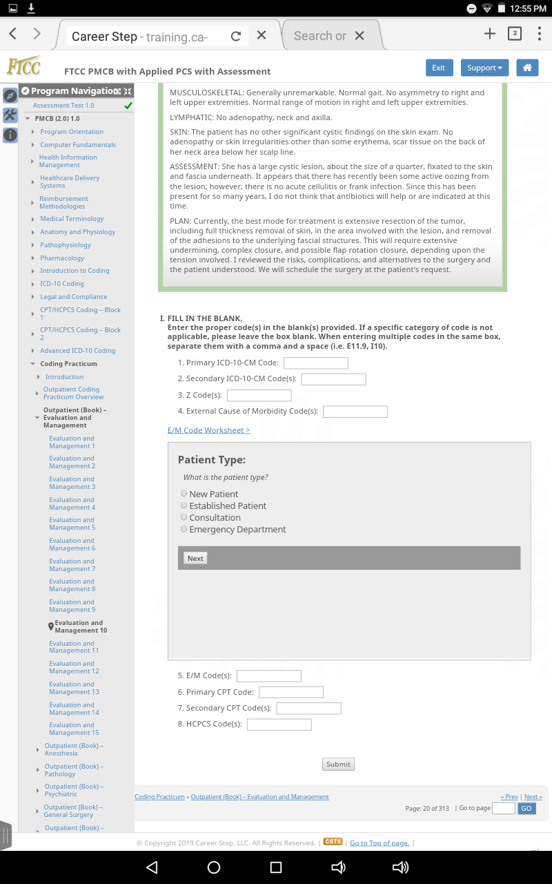 can you please code these from the career step