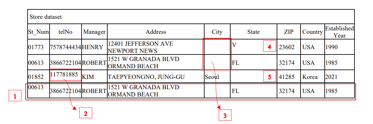 Store dataset St Num ZIP Established telNo