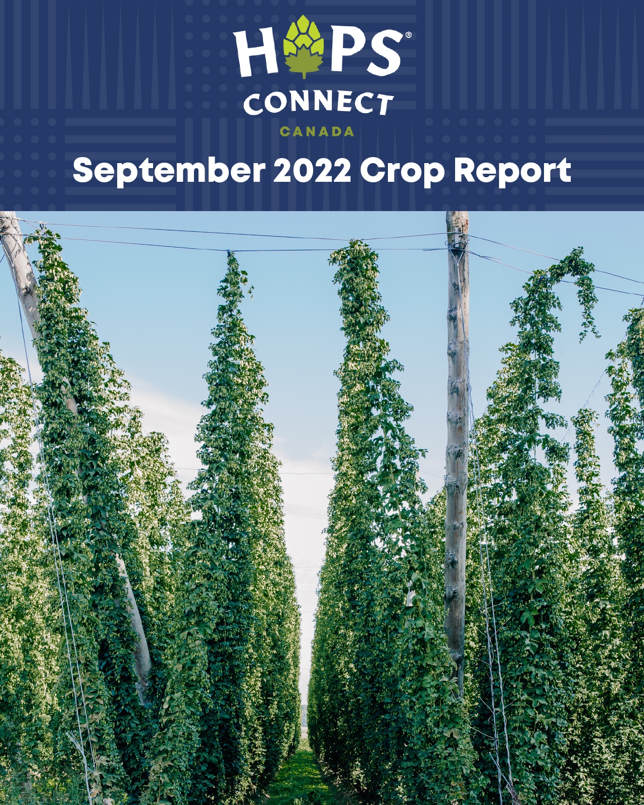 1. When looking at the Hops Forecast what are 2