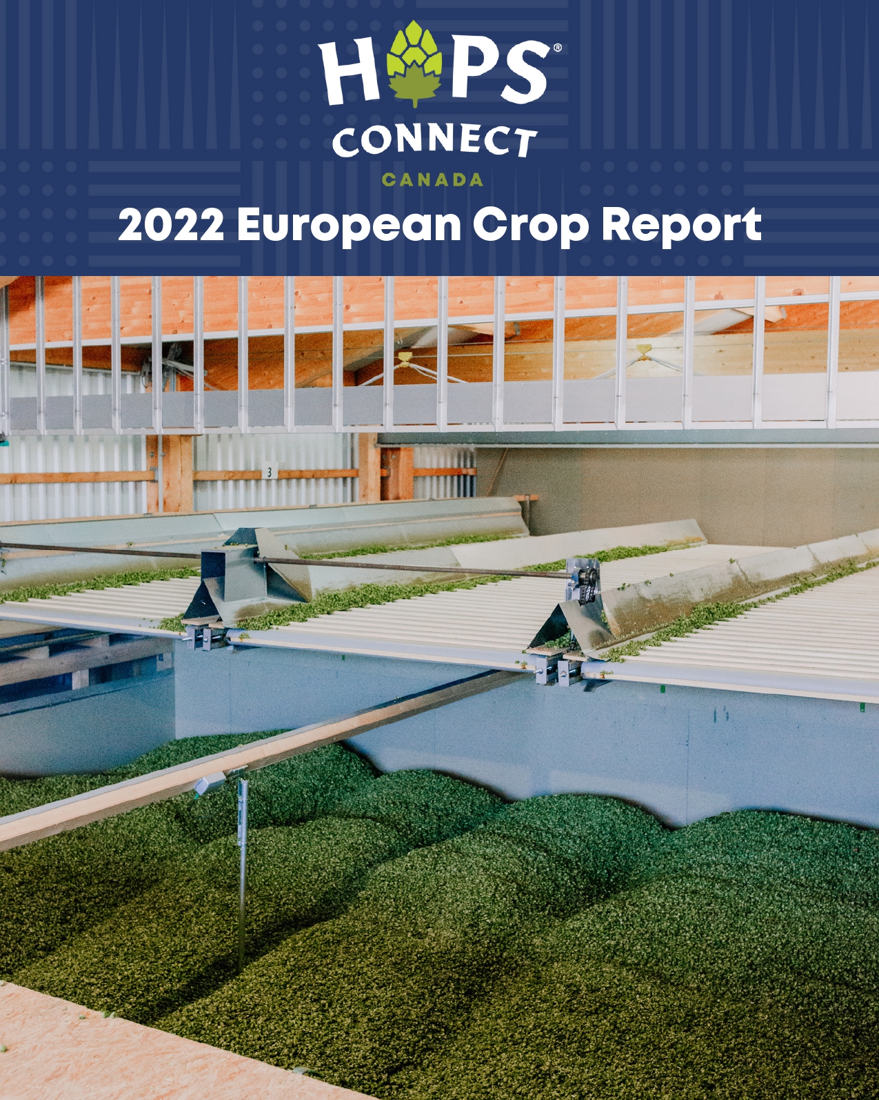 1. When looking at the Hops Forecast what are 2