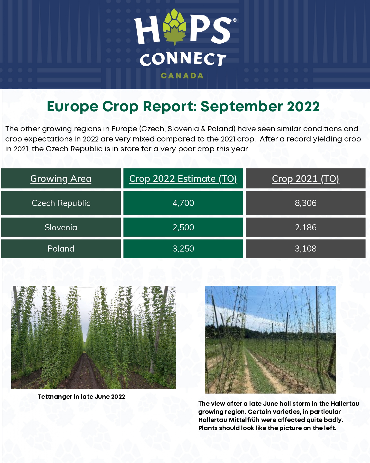 1. When looking at the Hops Forecast what are 2