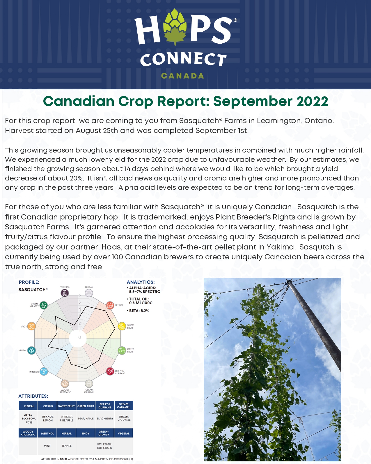 1. When looking at the Hops Forecast what are 2