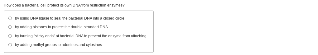 answer How does a bacterial cell protect its own