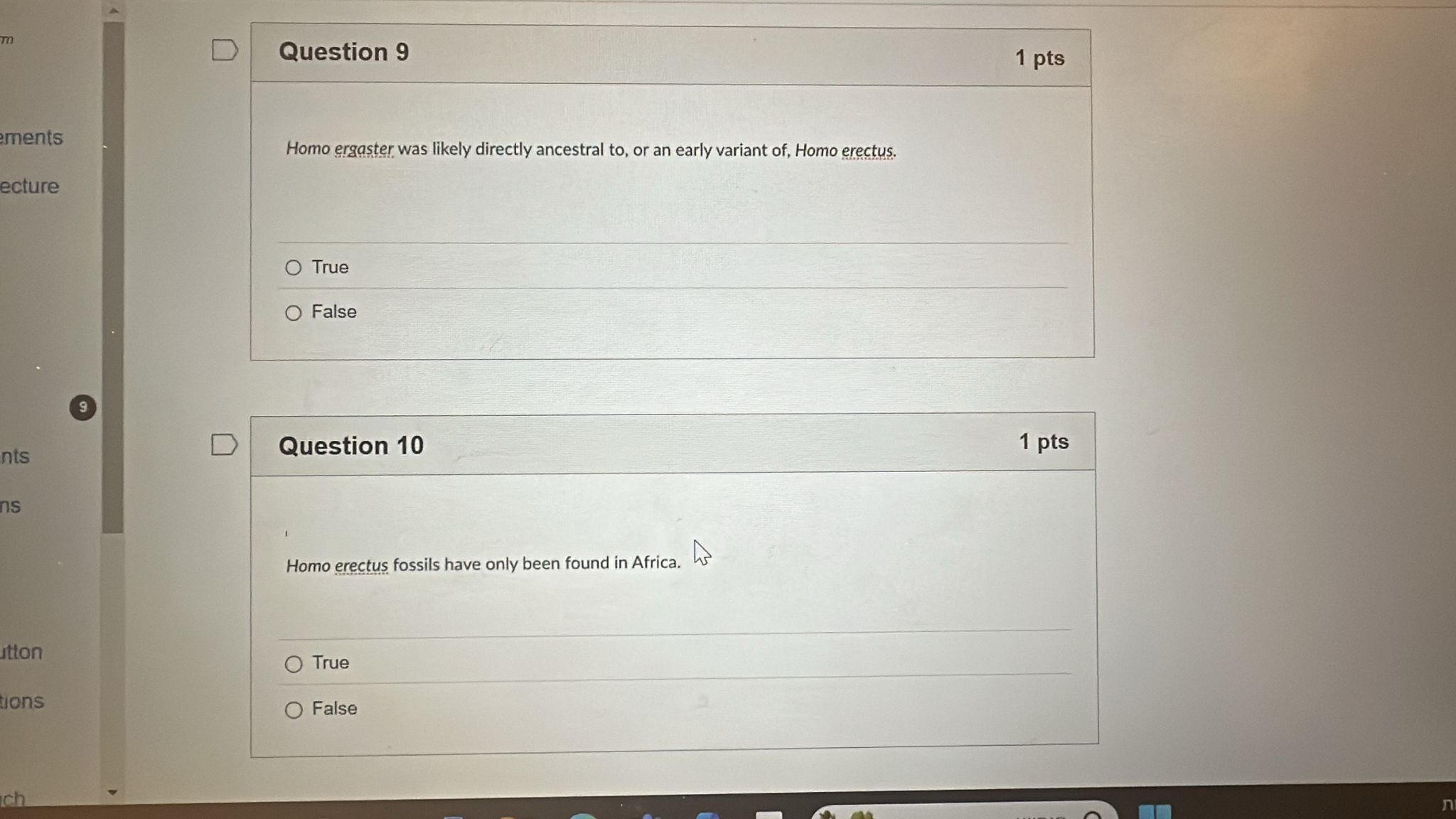 answer D Question 9 1 pts ments Homo ergaster was