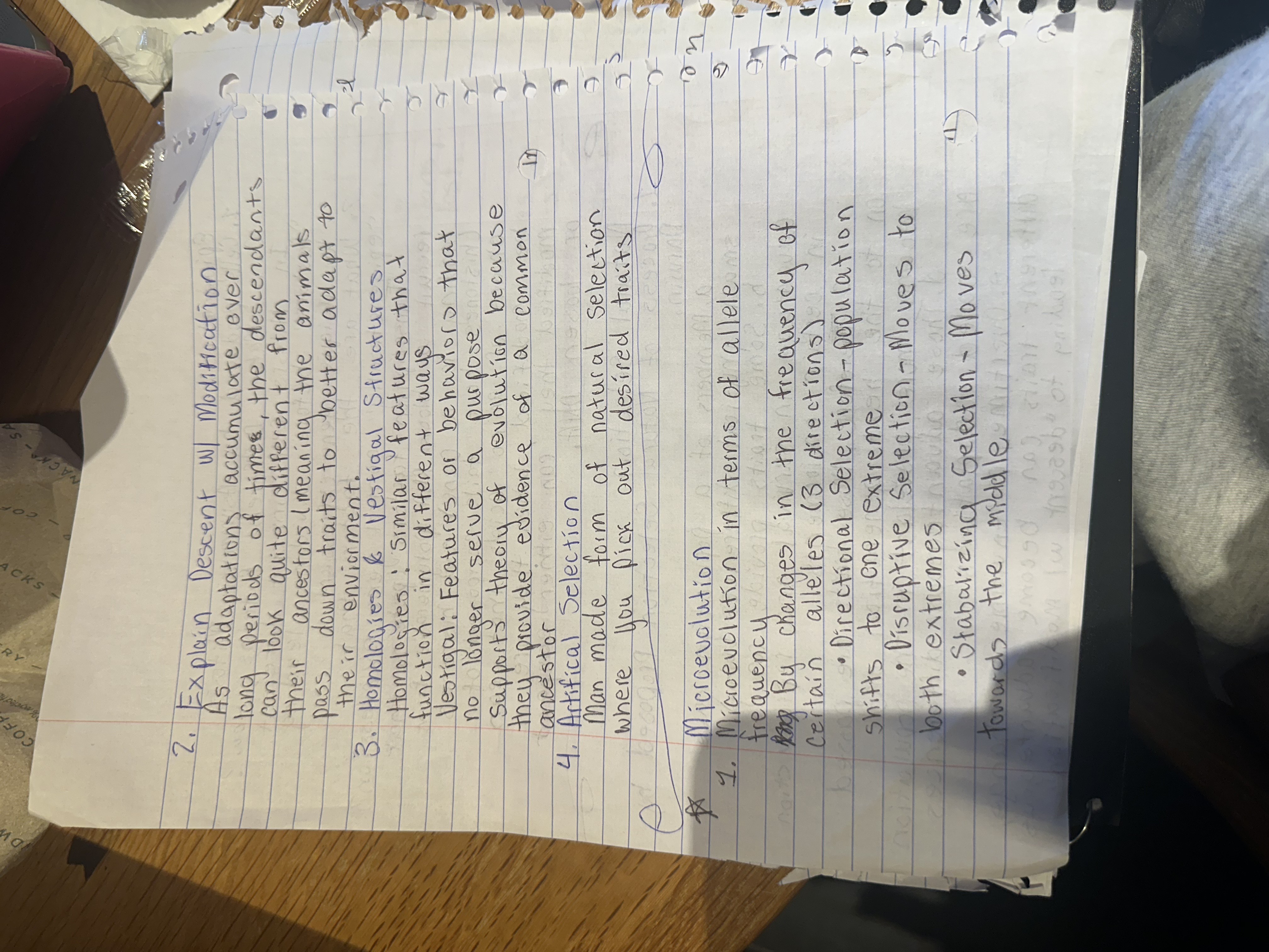 make me study questions and answers based on the