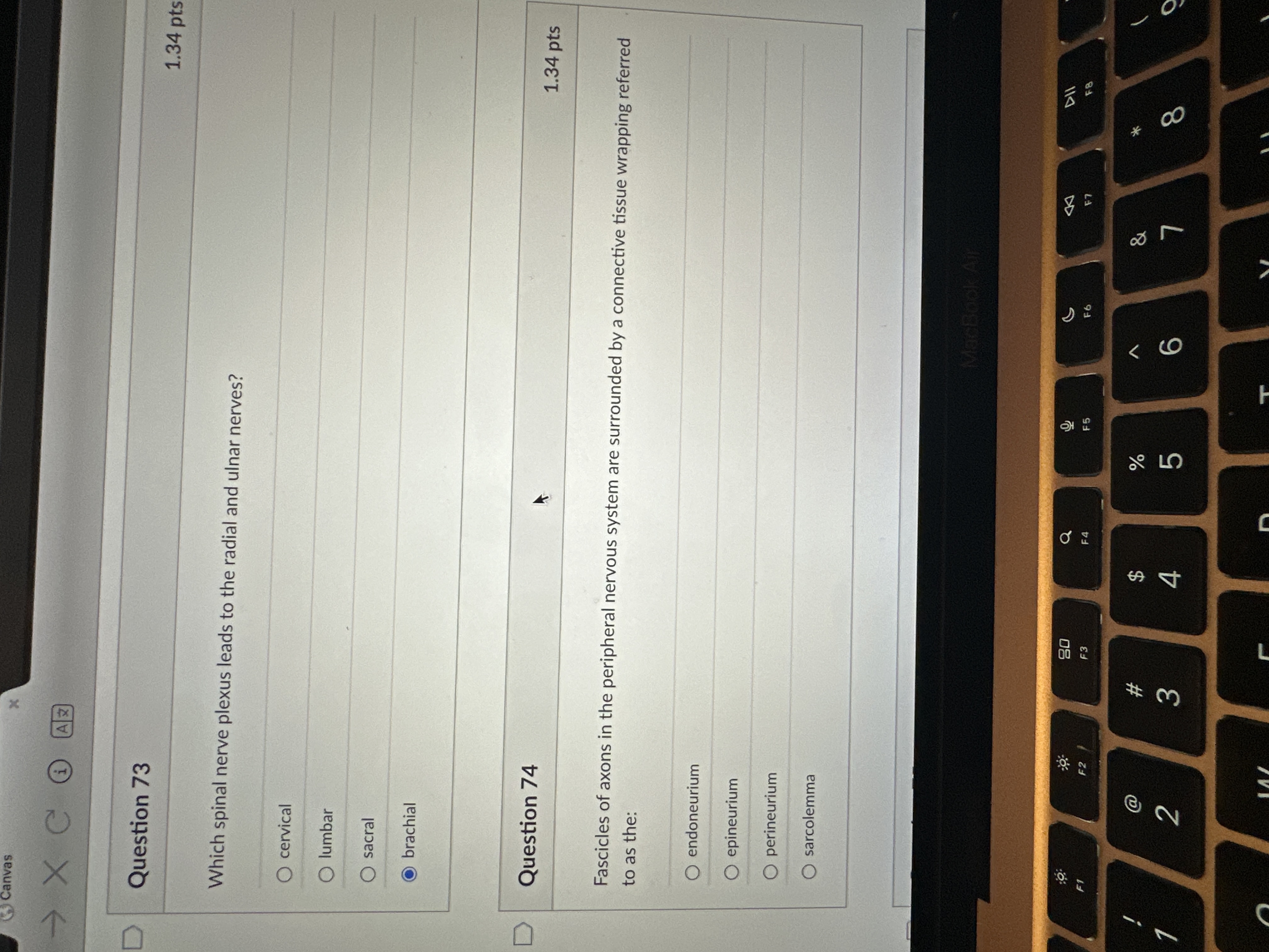 Answer Canvas - X C H AZ D Question 73 1.34 pts
