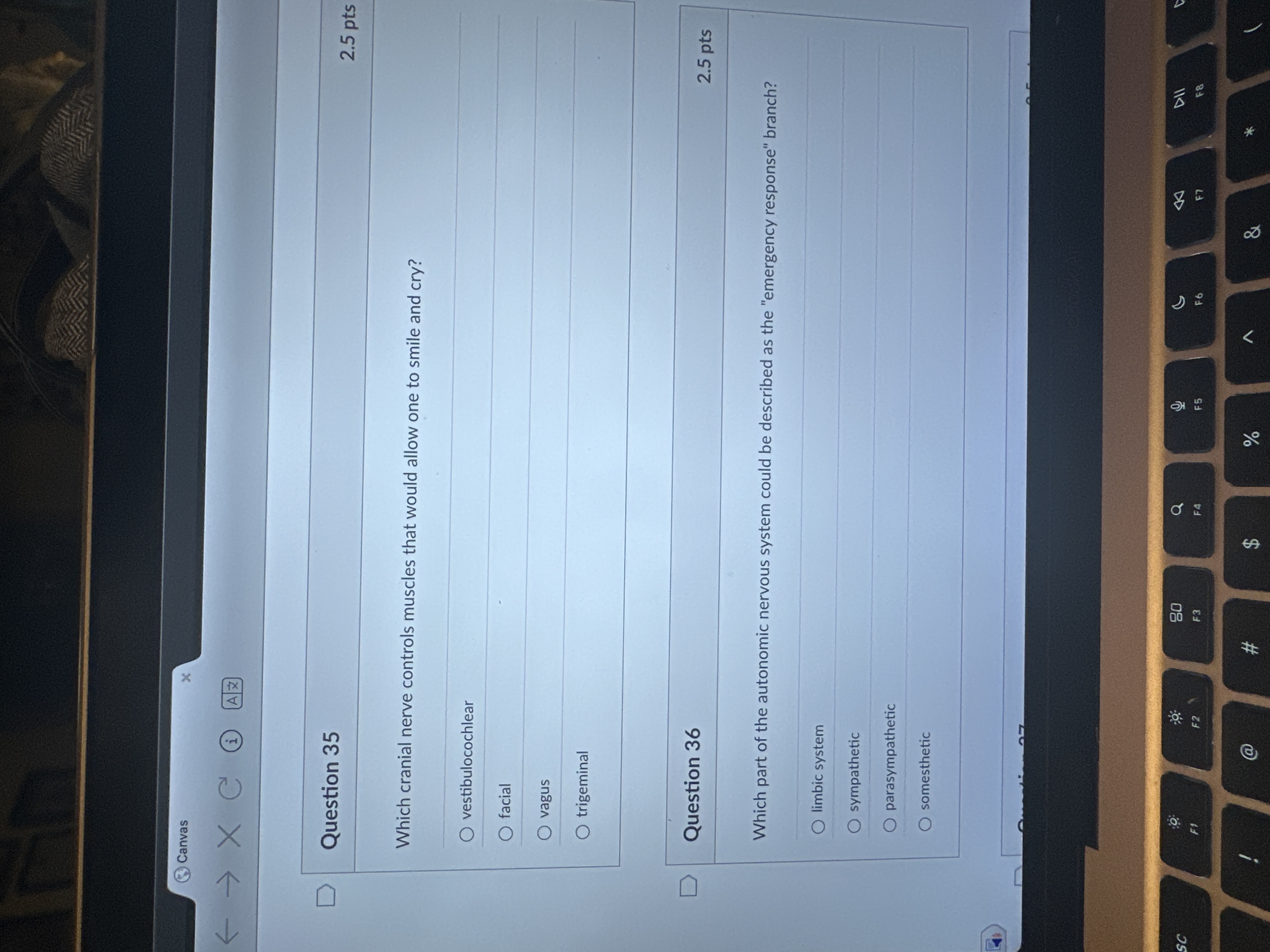 Answer Canvas x < -> X C HAZ D Question 35 2.5