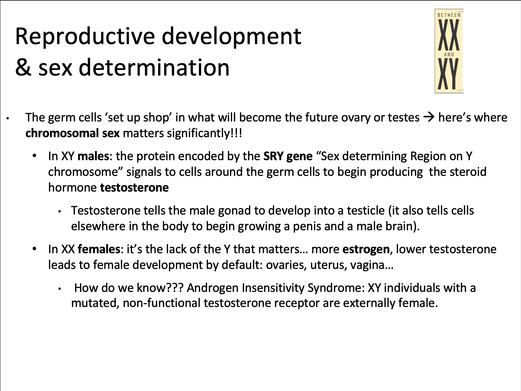 Explain in an easy way and function BETWEEN