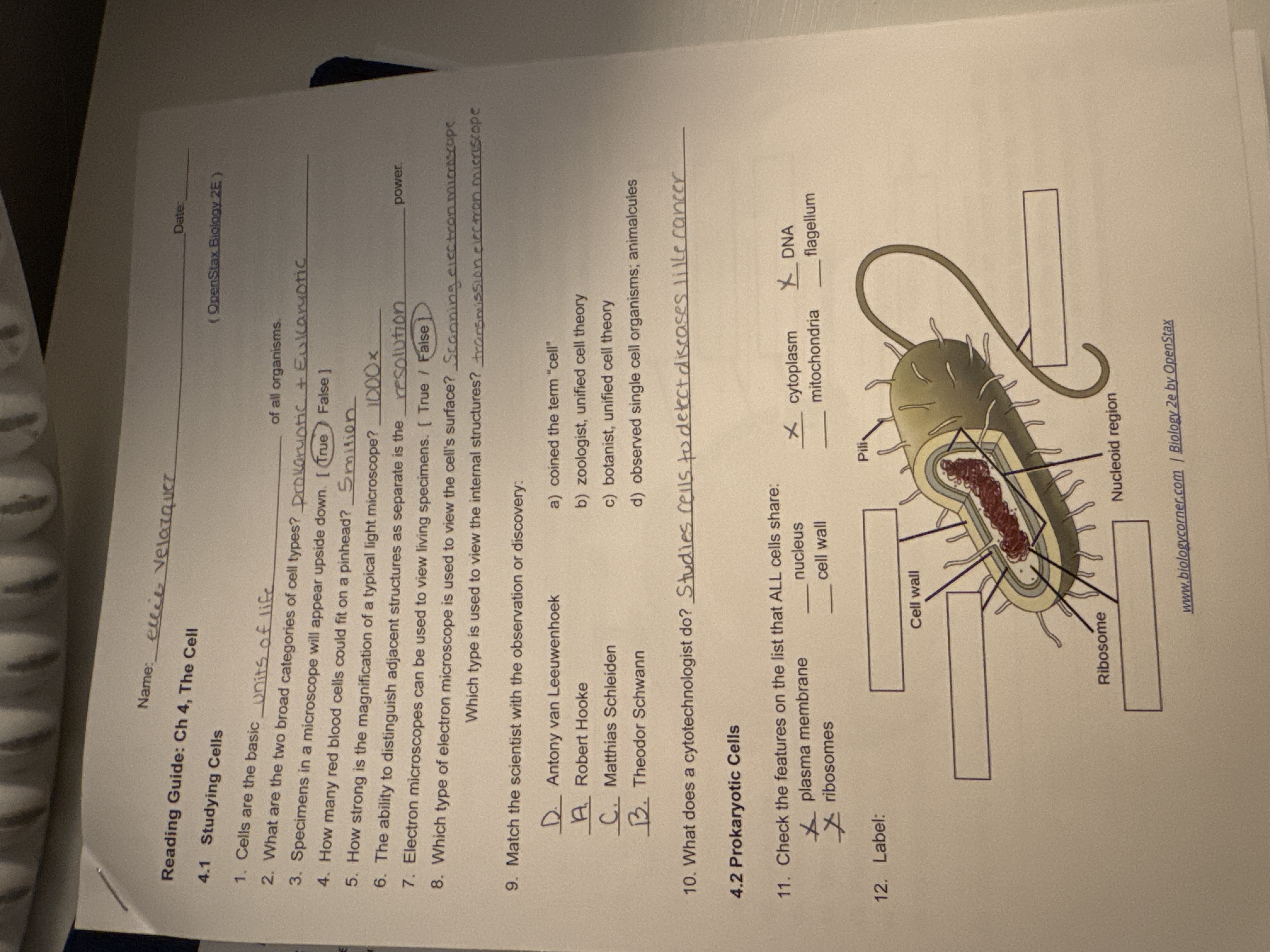 Answer correctly Name: elece velazquez Reading