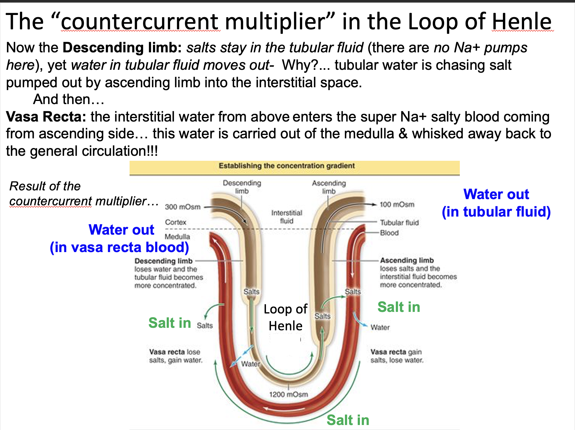 Explain in an easy way and function The