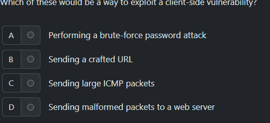 answer Which of these would be a way to exploit a