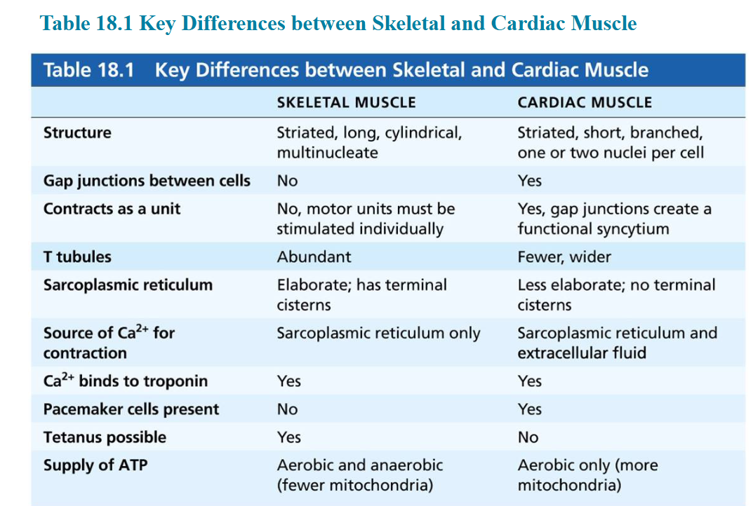 make it easier to undrestans and explain it Table