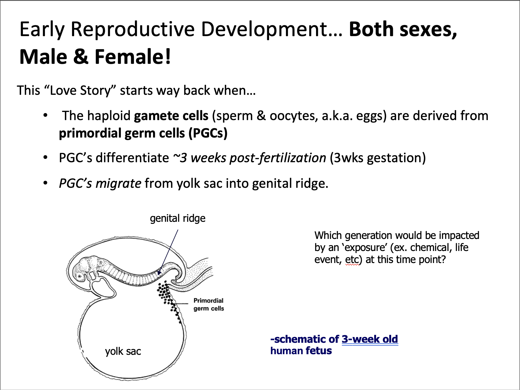 Explain in an easy way and function Early