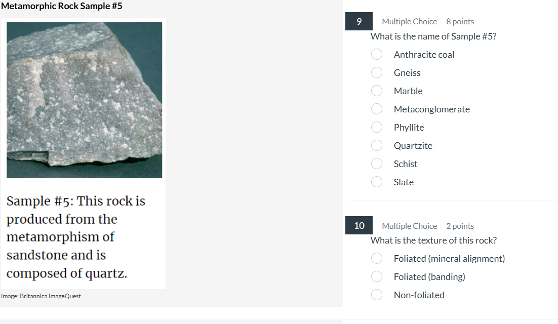 answer the question Metamorphic Rock Sample #5 9