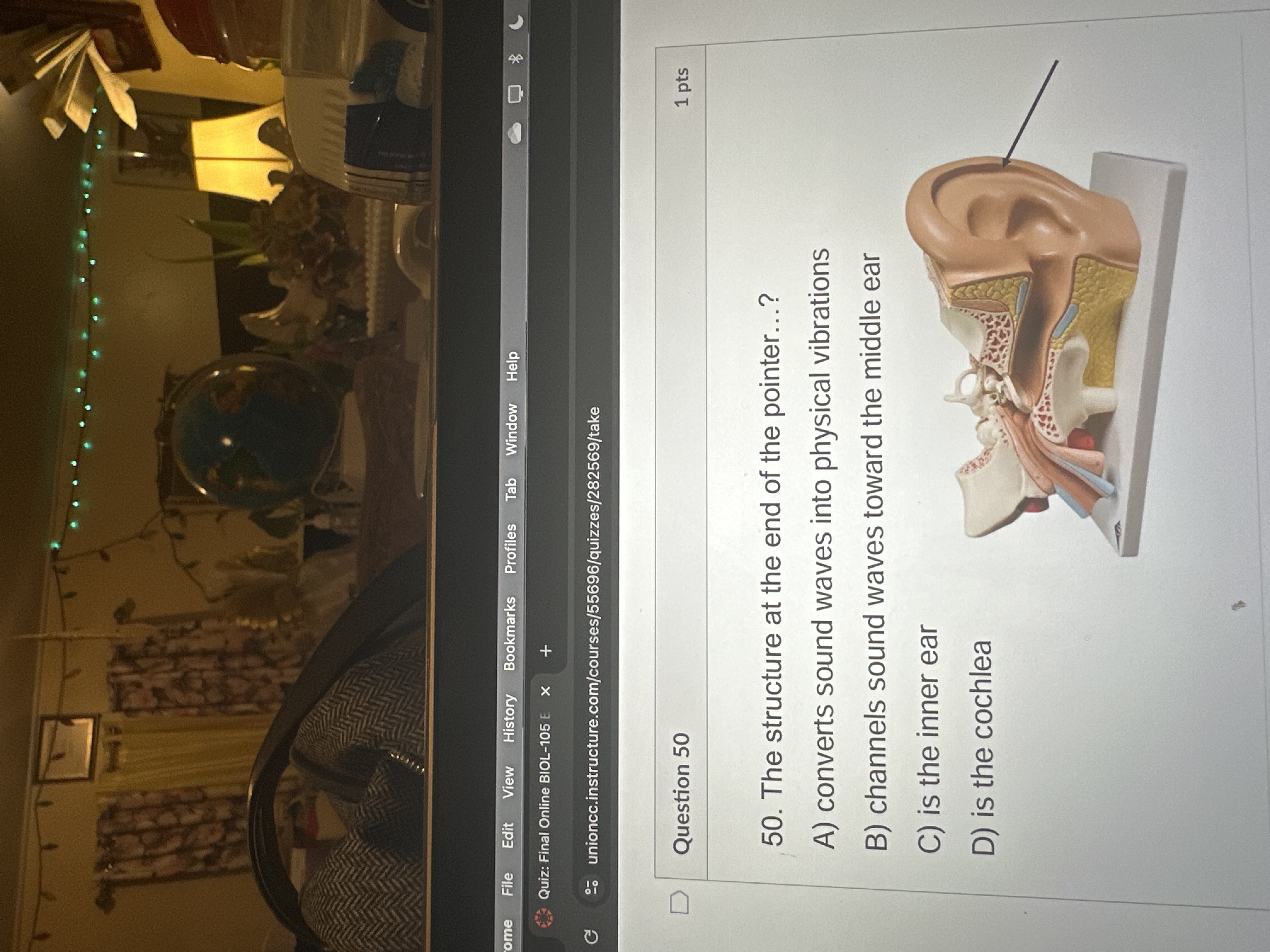 Answer ome File Edit View History Bookmarks