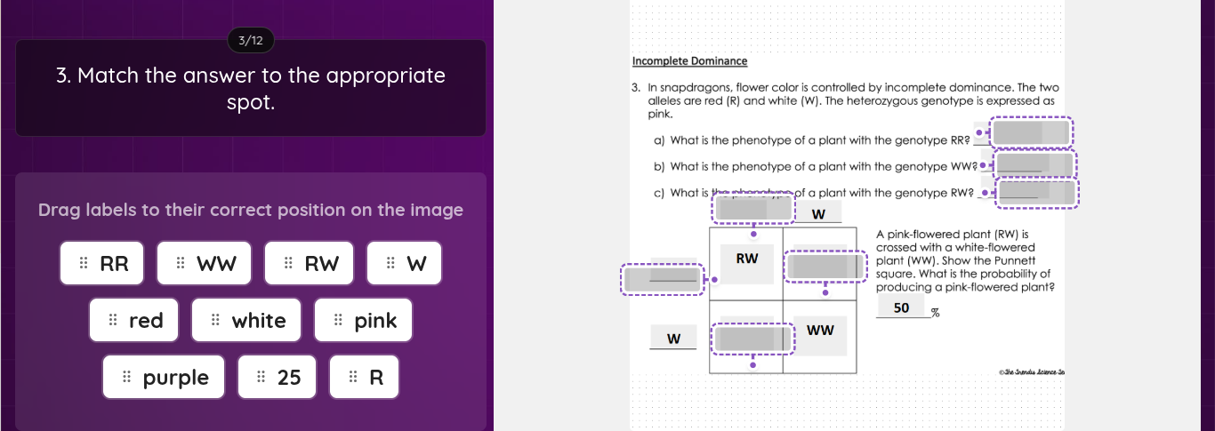 Match the correct answers into the correct boxes