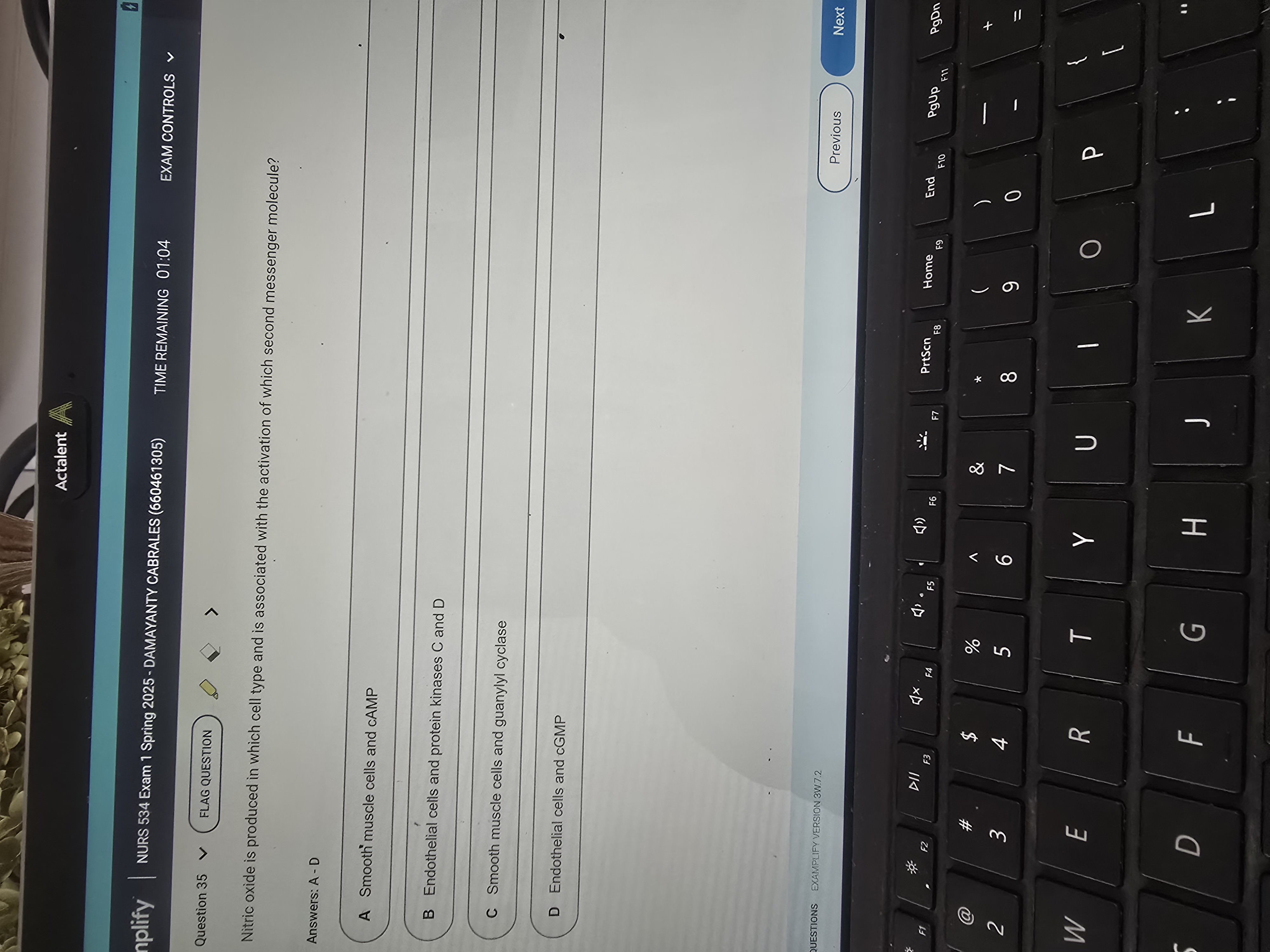 answer the attached question Actalent pplify NURS