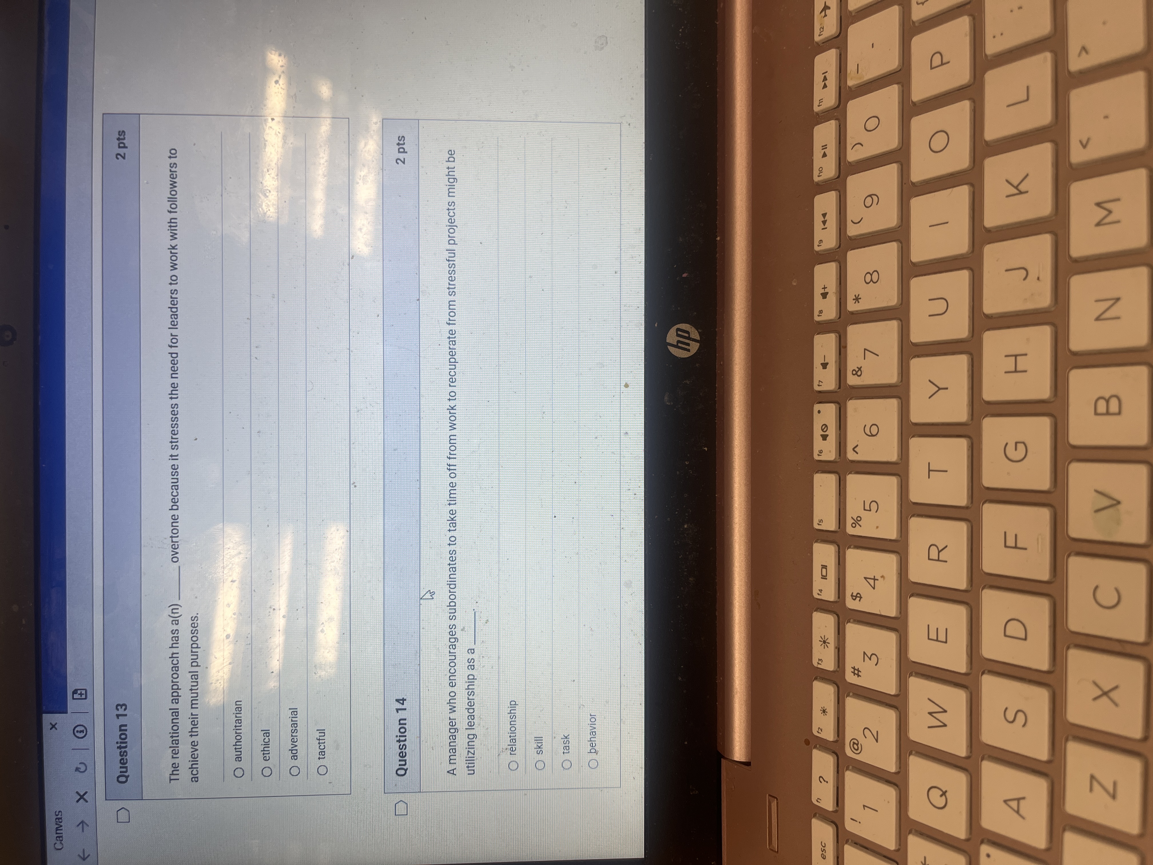 Answer Canvas X D Question 13 2 pts The