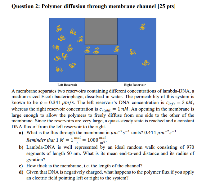 Please answer this question in detail with good