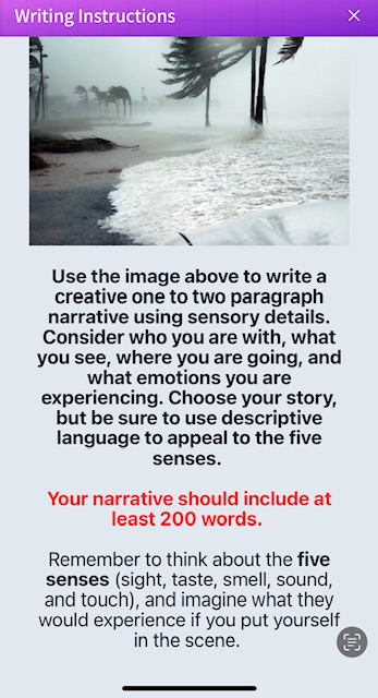 Please help with below Writing Instructions Use