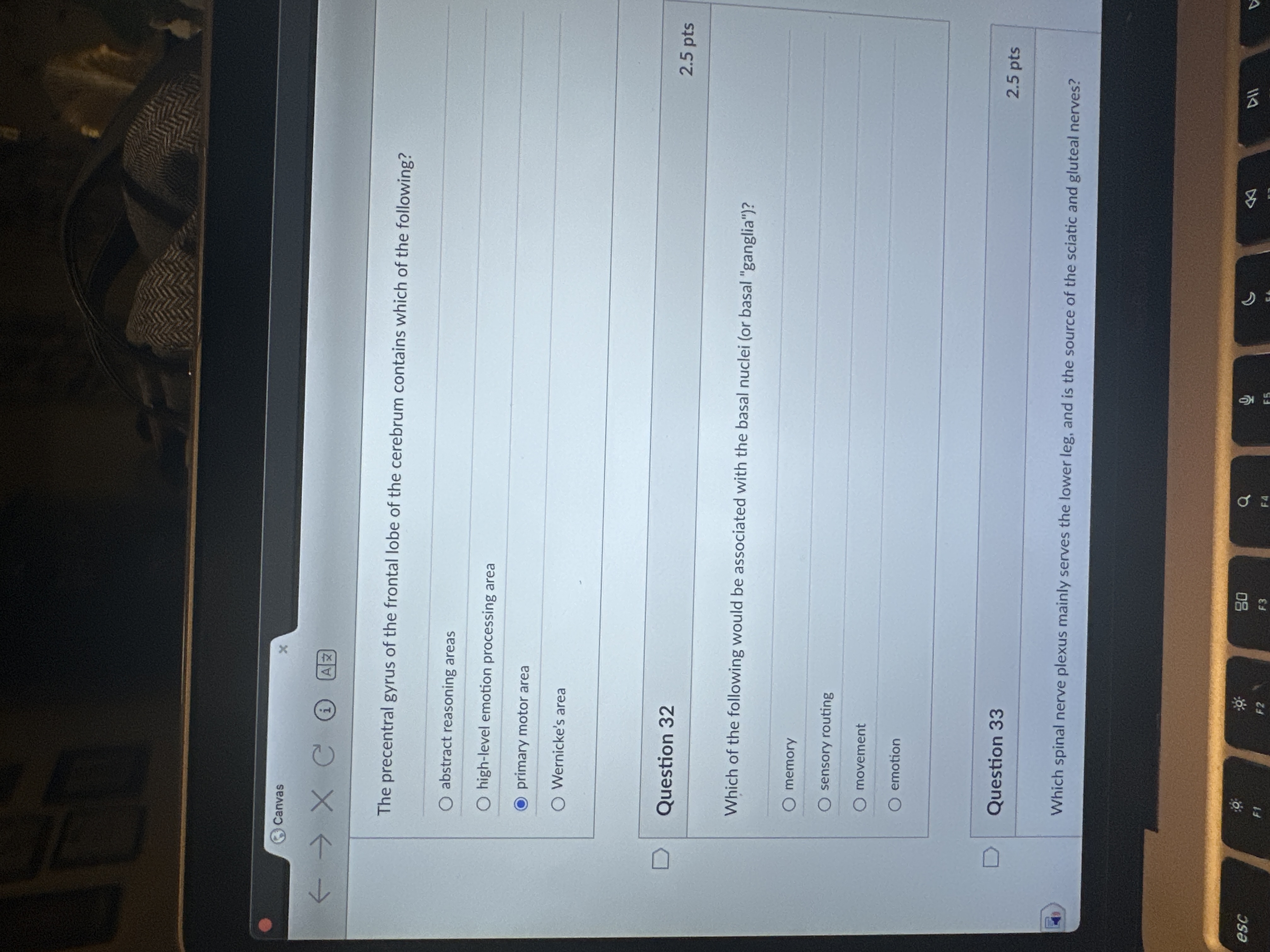 Answer Canvas K - X C H AZ The precentral gyrus