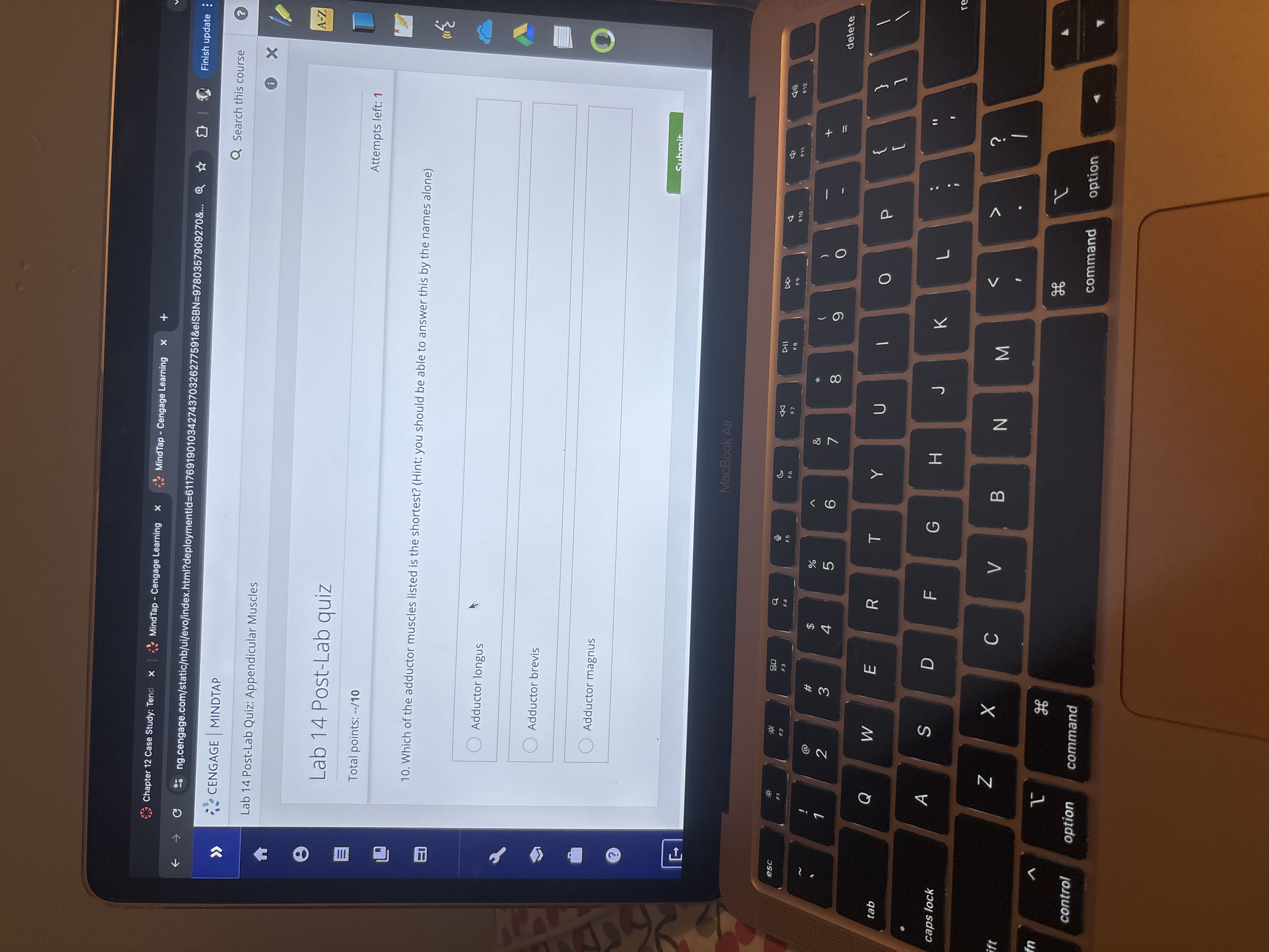 Answer Chapter 12 Case Study: Tend x | MindTap -