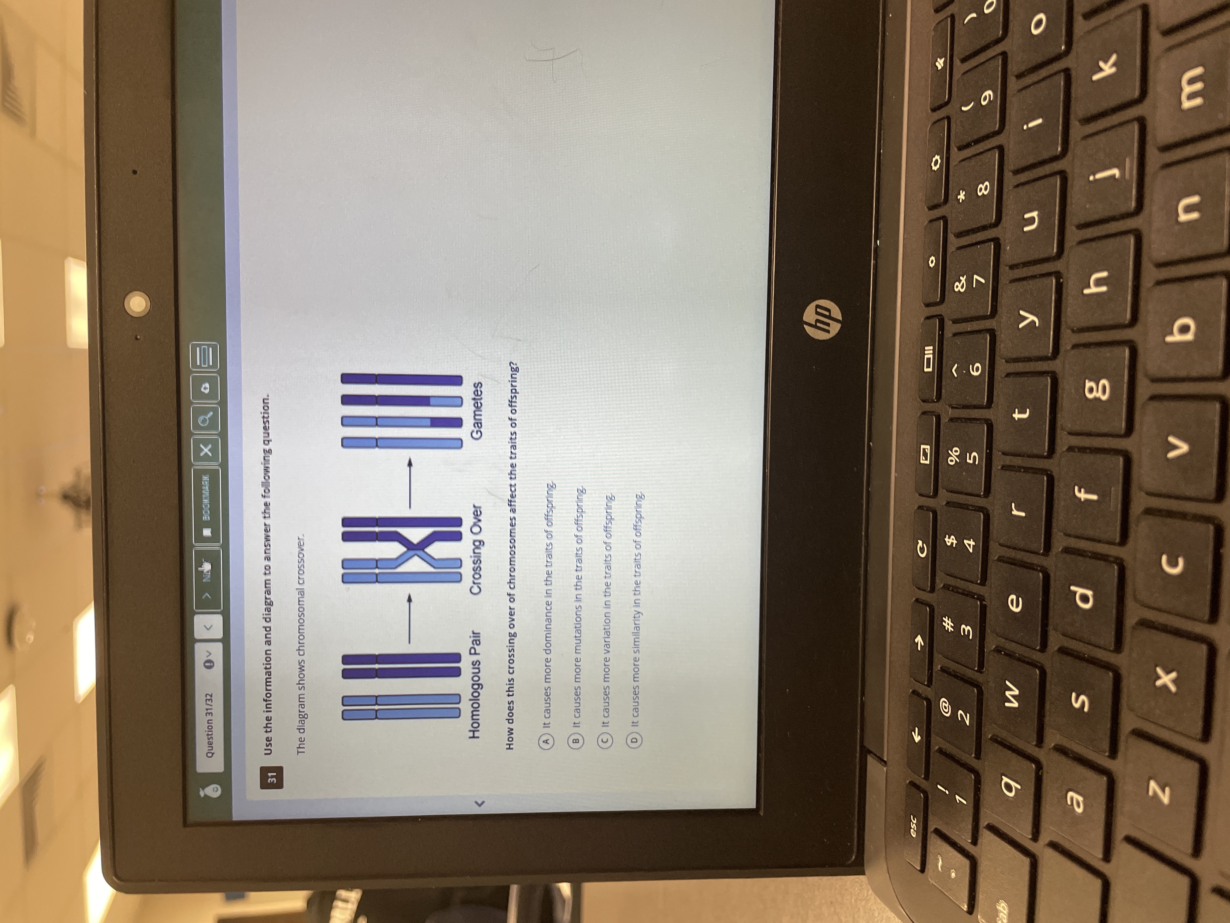 Question 31/32 Ov < BOOKMAR x Q o= 31 Use the