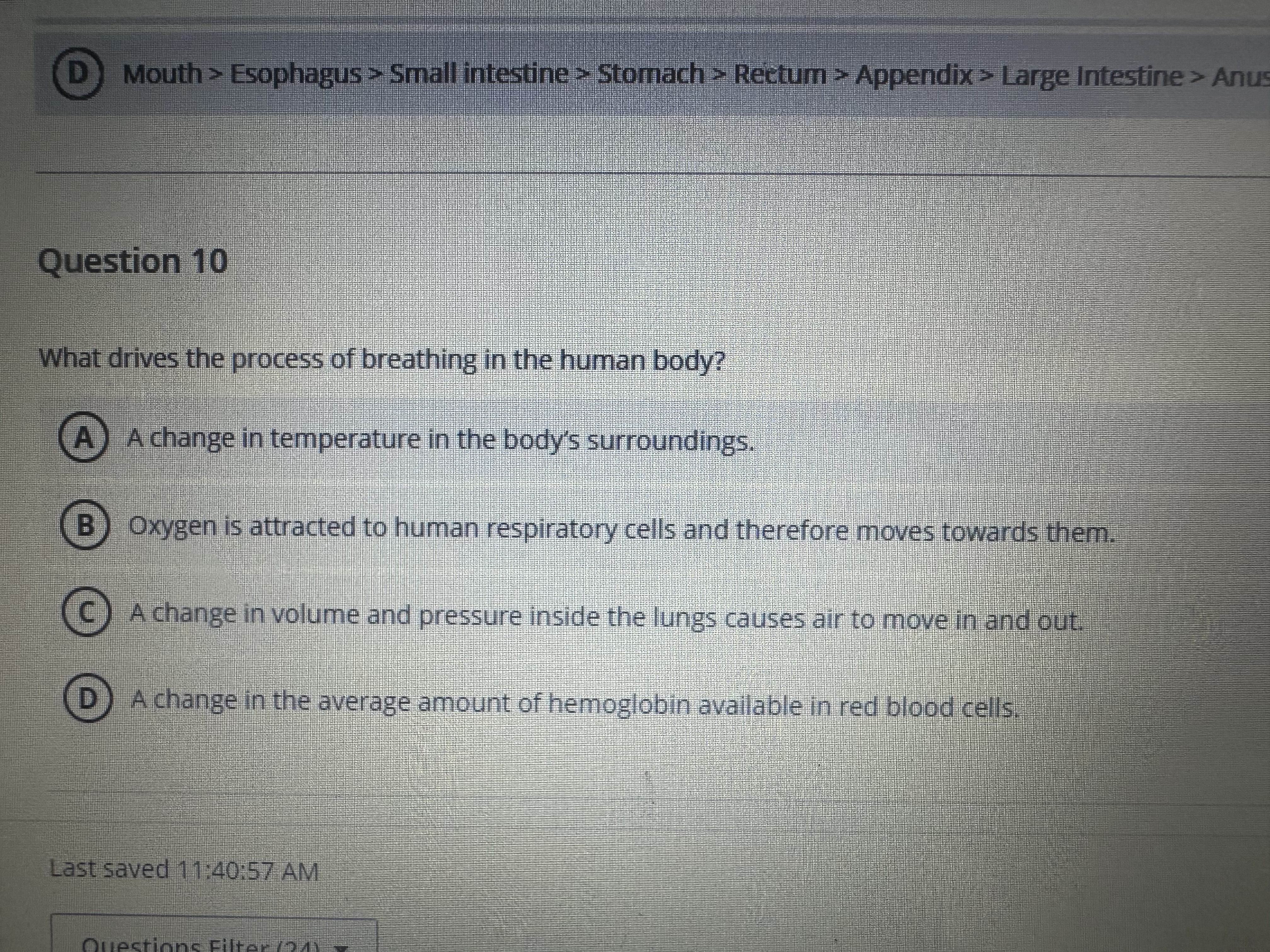 Answer D Mouth > Esophagus > Small intestine >