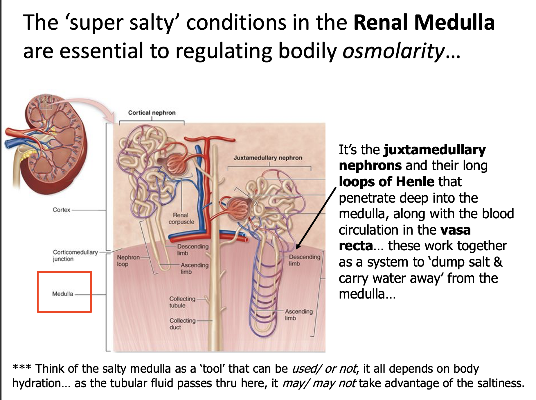 Explain in an easy way and function The 'super