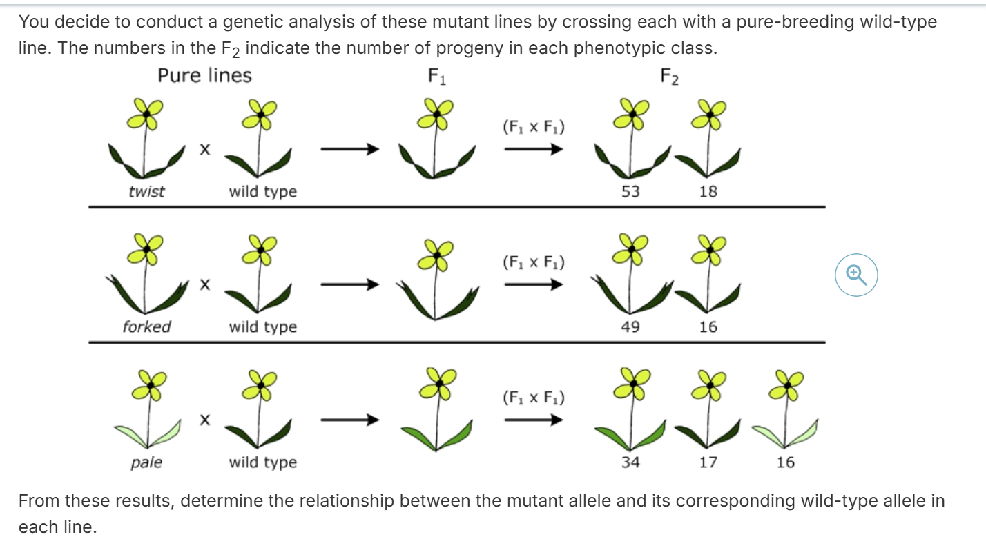 answer that question with this diagram You decide