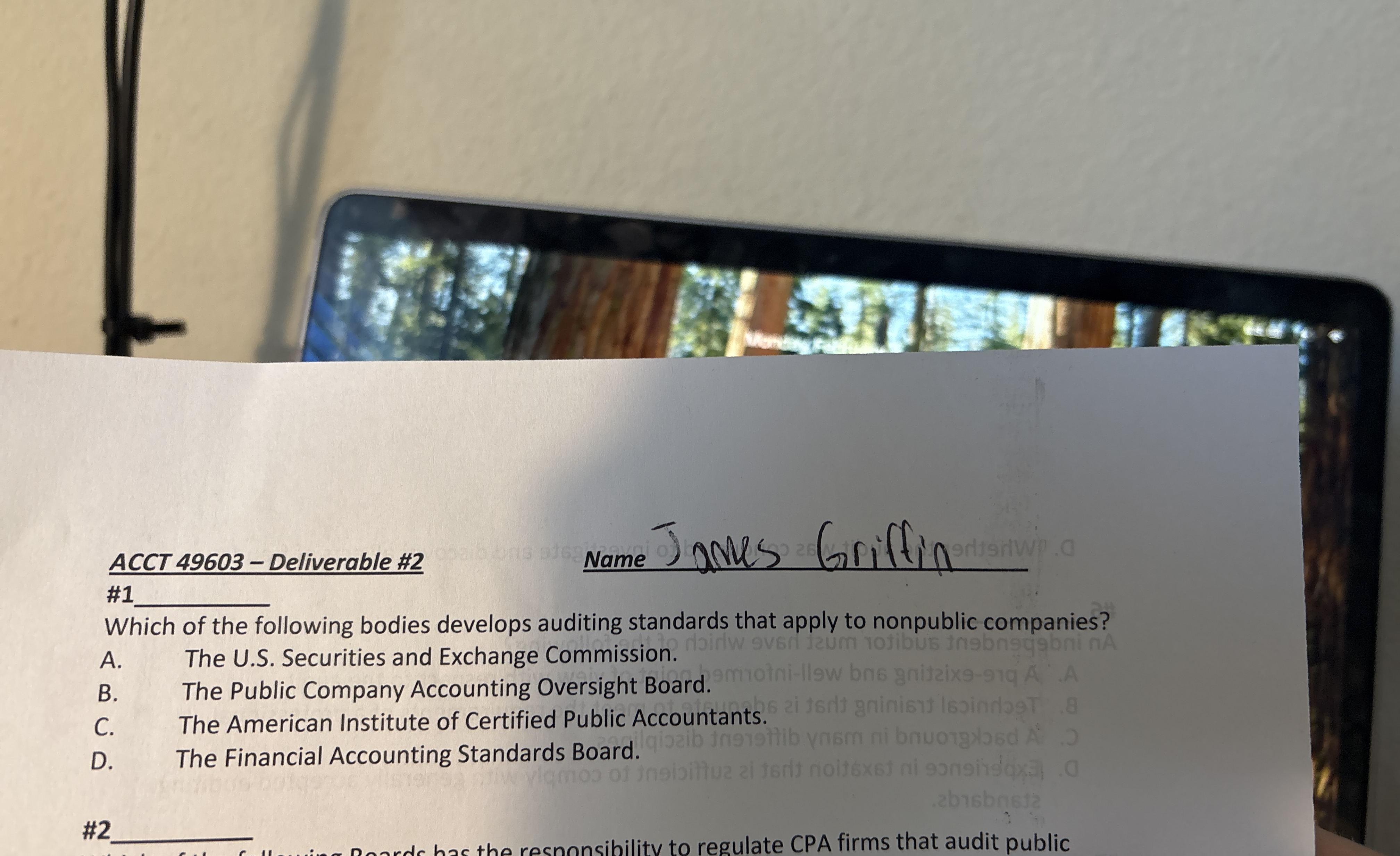 ACCT 4 9 6 0 3 - Deliverable # 2 name James