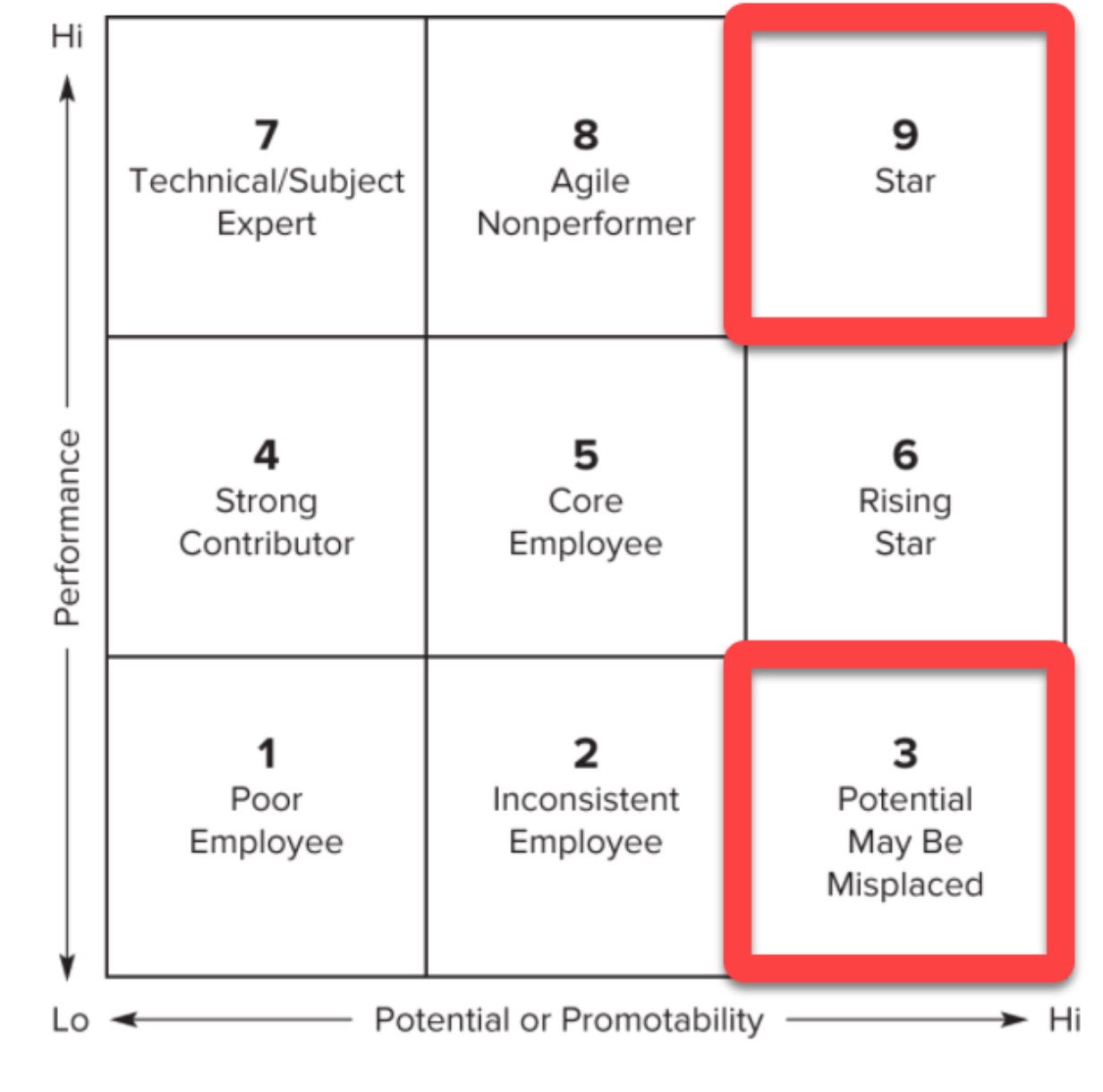 Create a Development Plan for an employee who