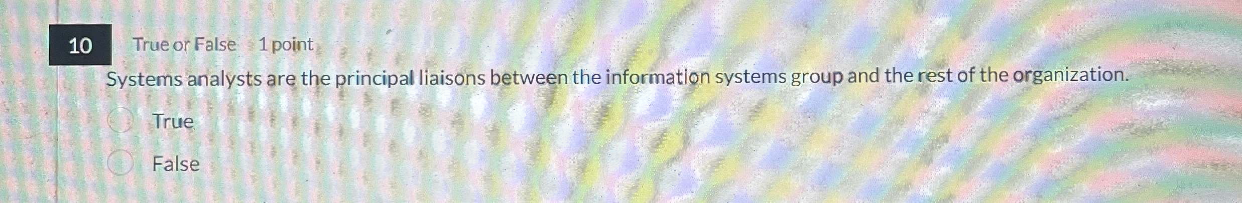 1 0 True or False 1 point Systems analysts are