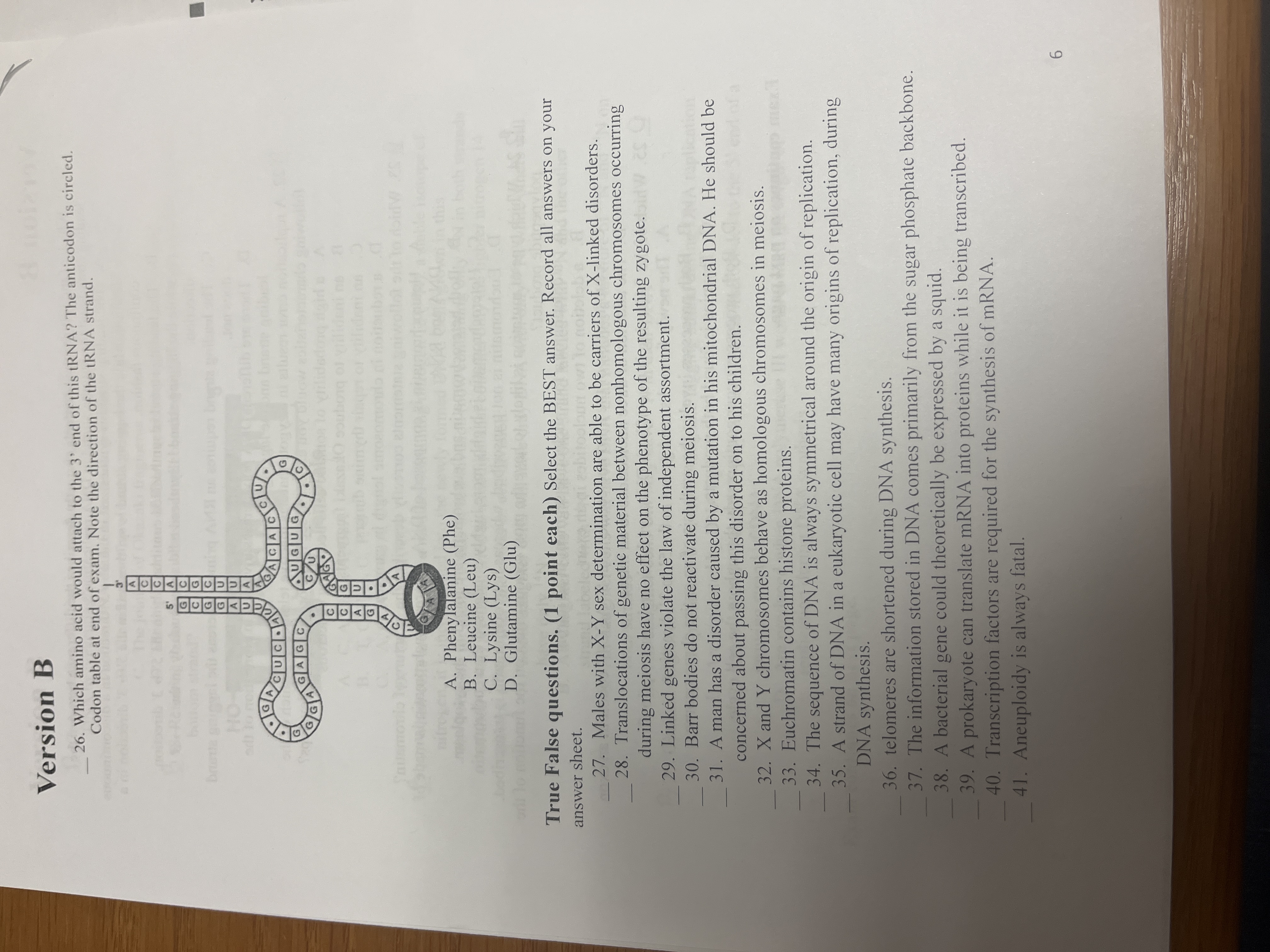 Answer Version B 26. Which amino acid would