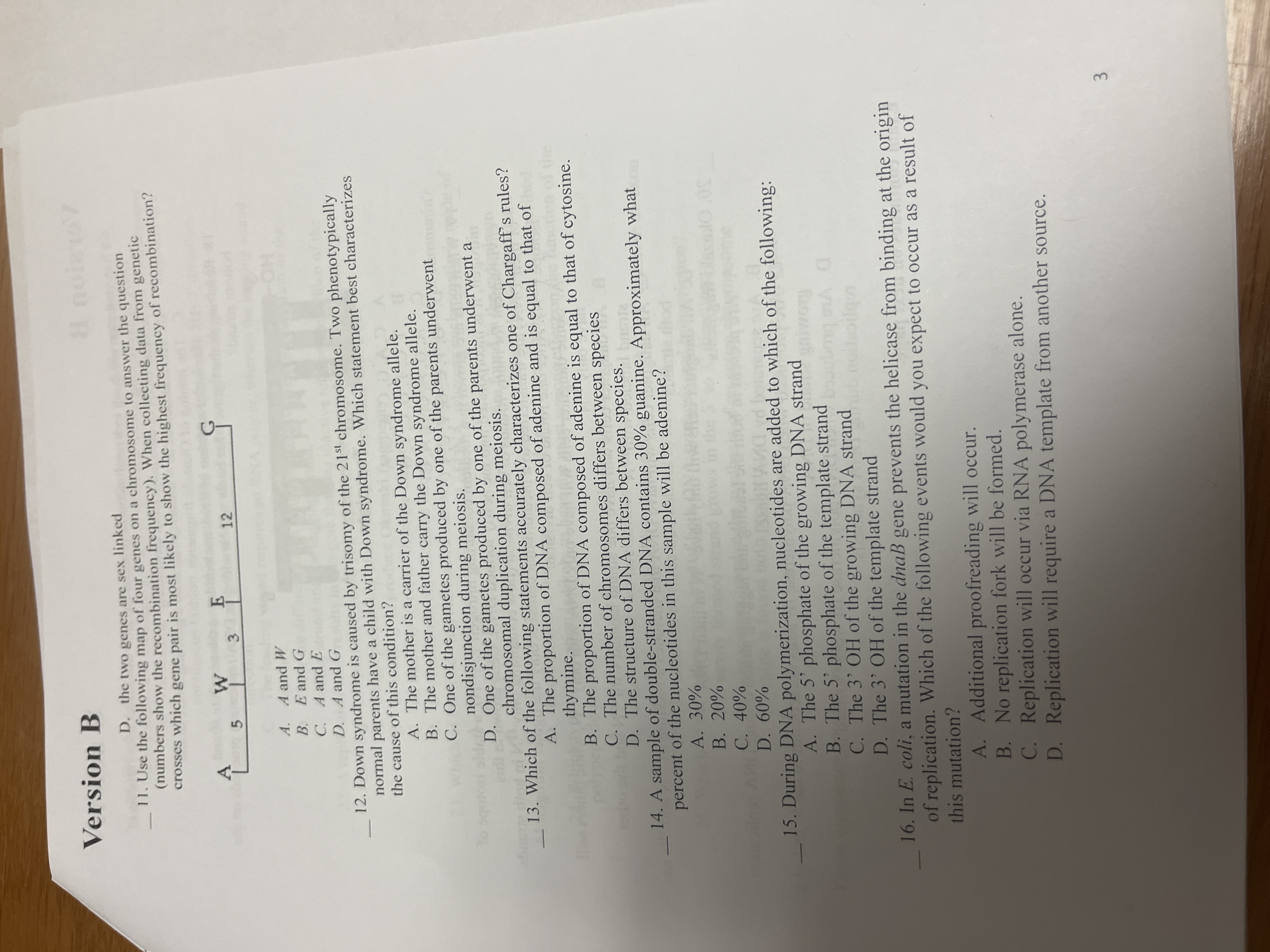 Answer Version B noteto D. the two genes are sex