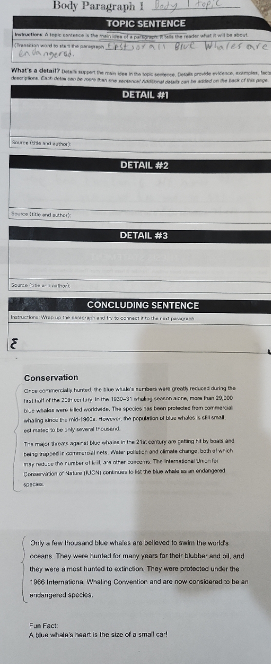 Body Paragraph I Body | top C TOPIC SENTENCE