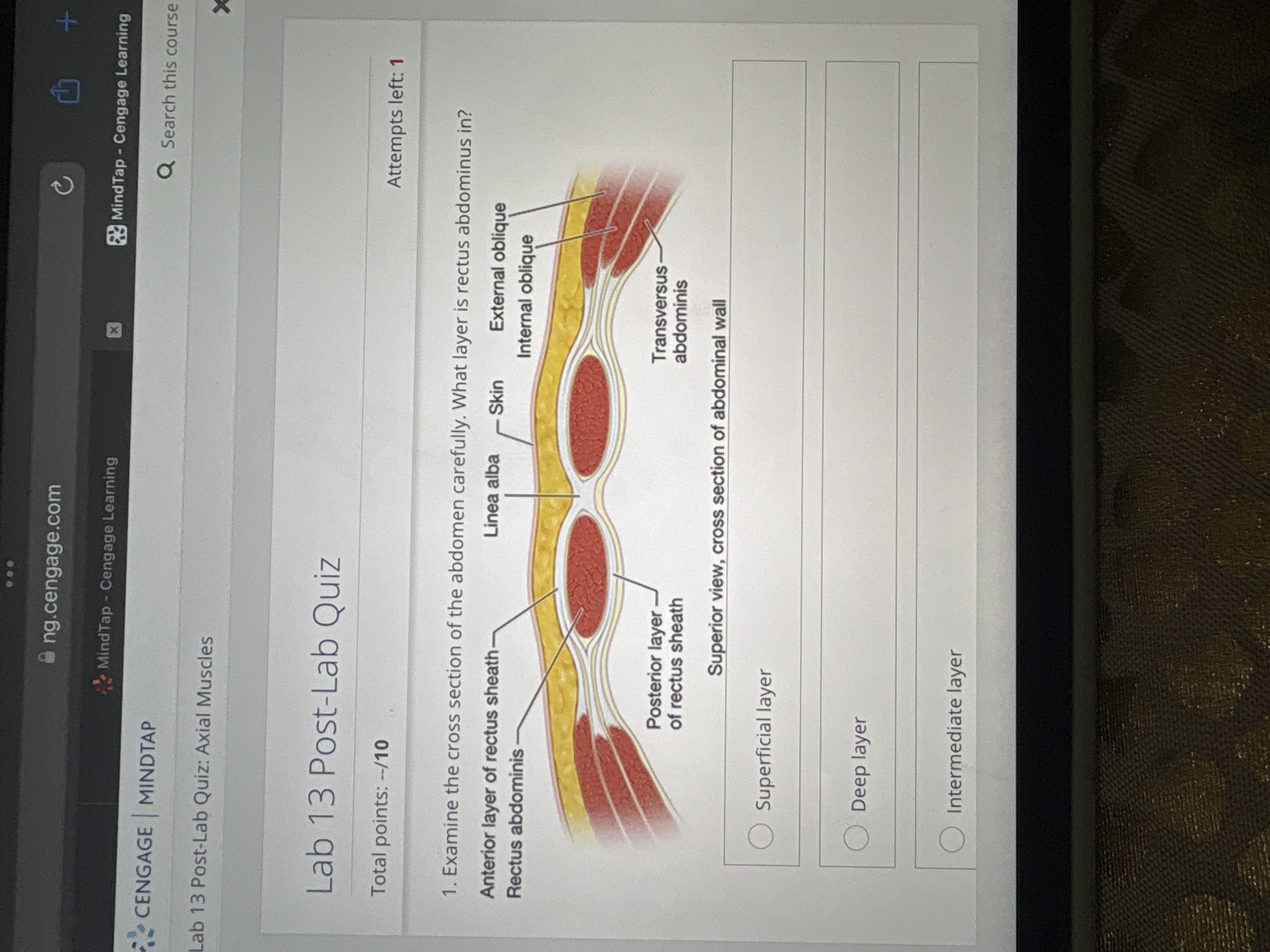Answer ng.cengage.com MindTap - Cengage Learning