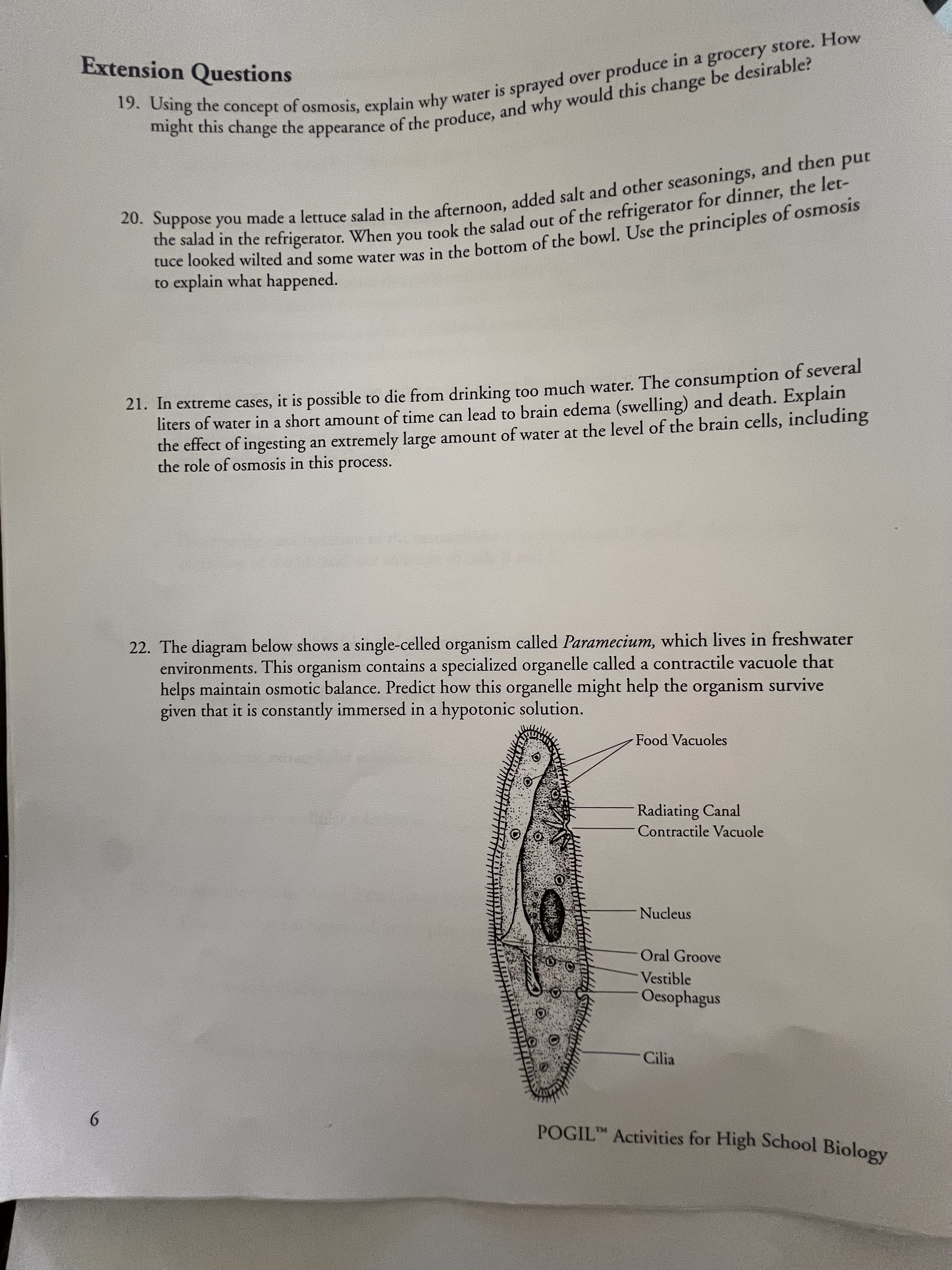 Answer in easy short sentences Extension