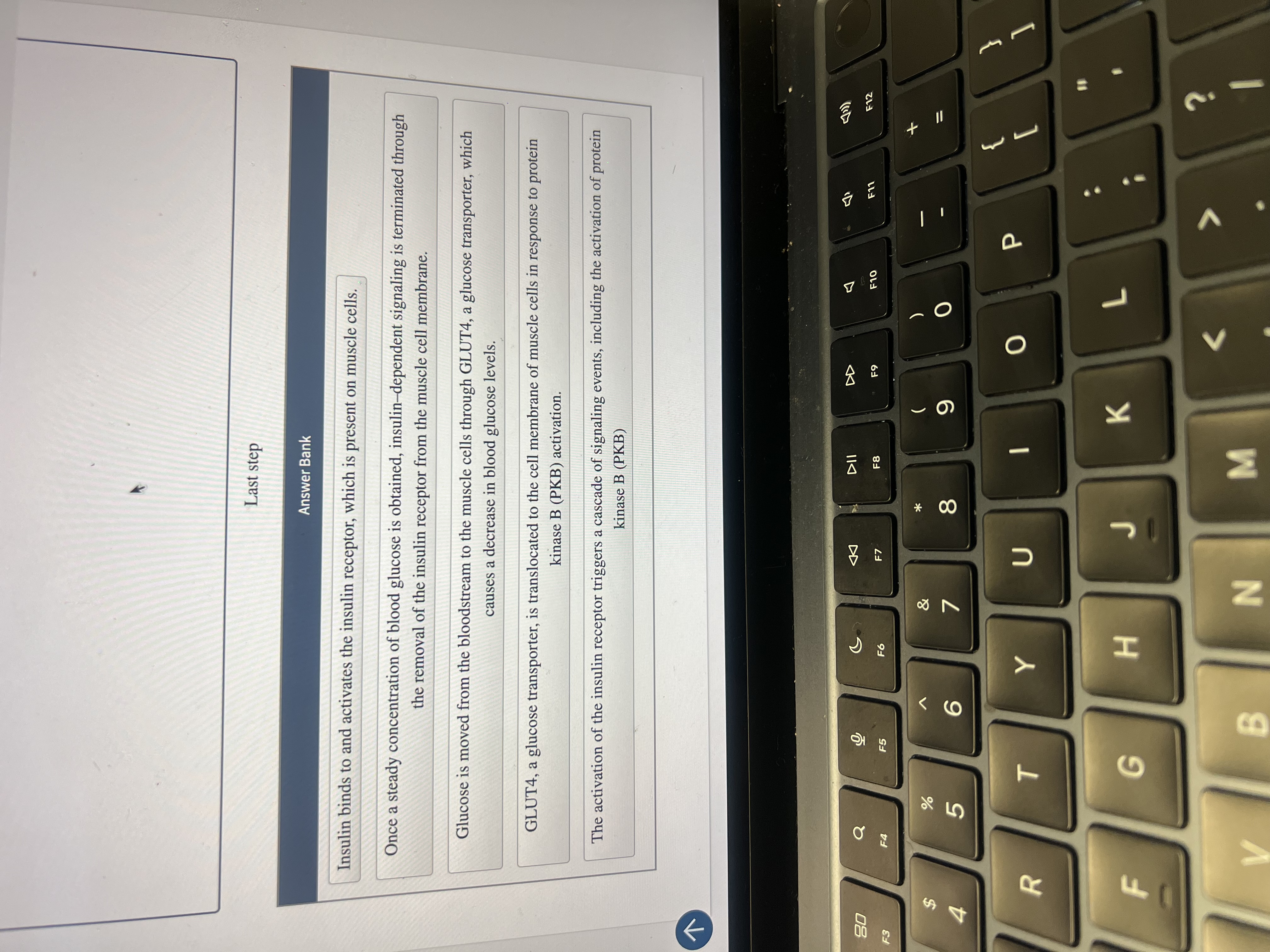 put these in order from first step to last step