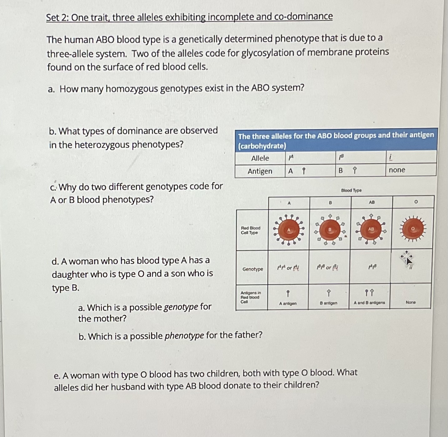 Answer it Set 2: One trait, three alleles