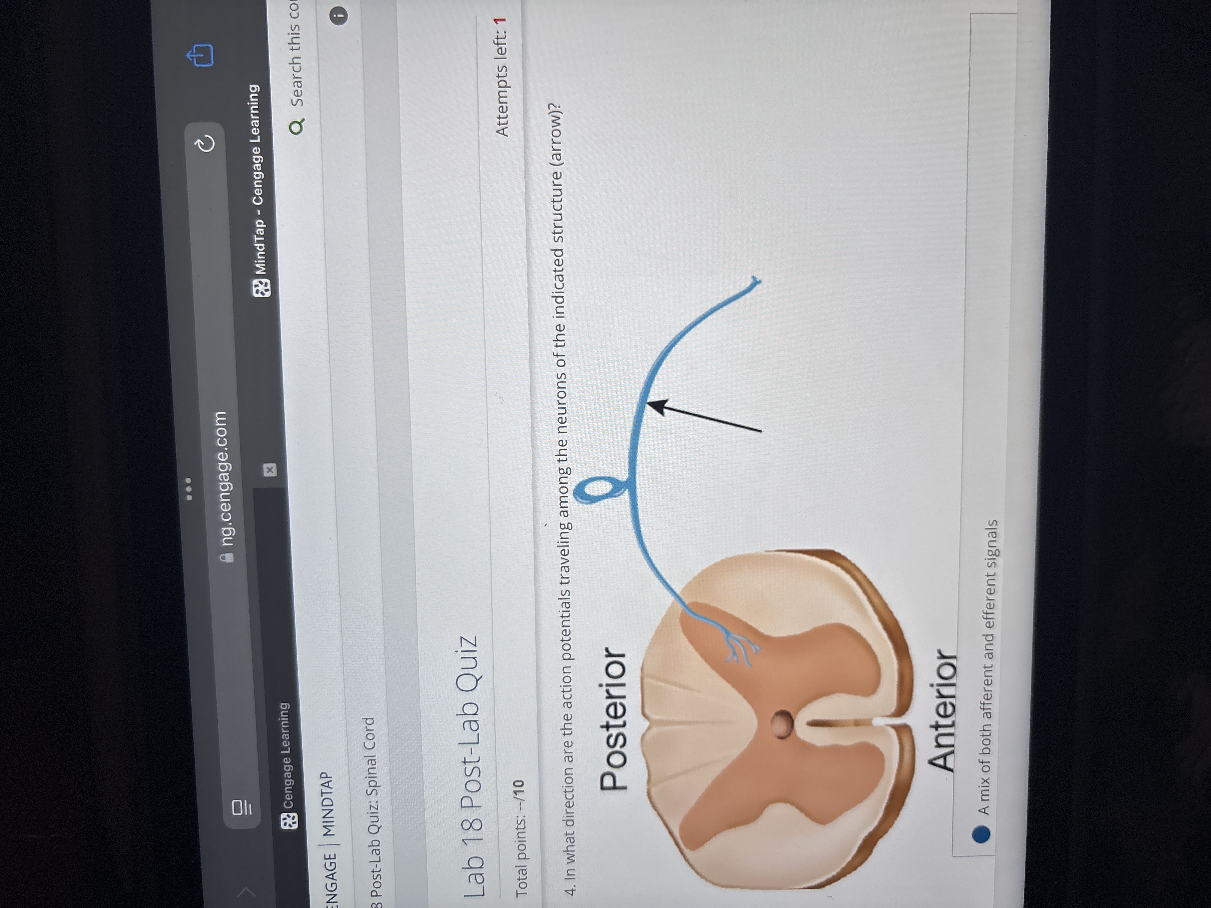 Answer .. ng.cengage.com C Cengage Learning X
