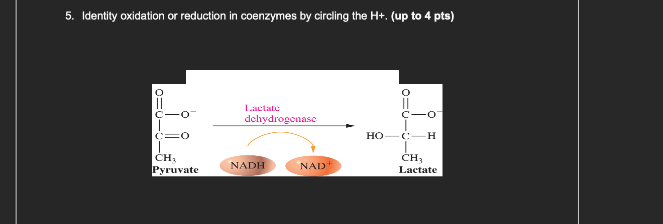 answer question 5. Identity oxidation or
