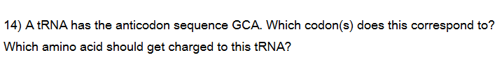 answer 14) A tRNA has the anticodon sequence GCA.