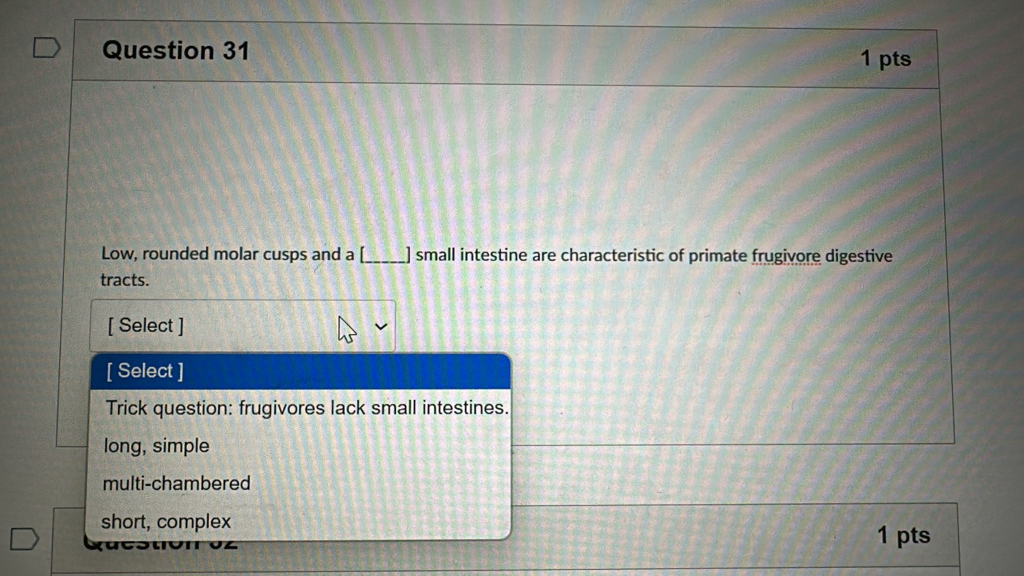 answer D Question 31 1 pts Low, rounded molar