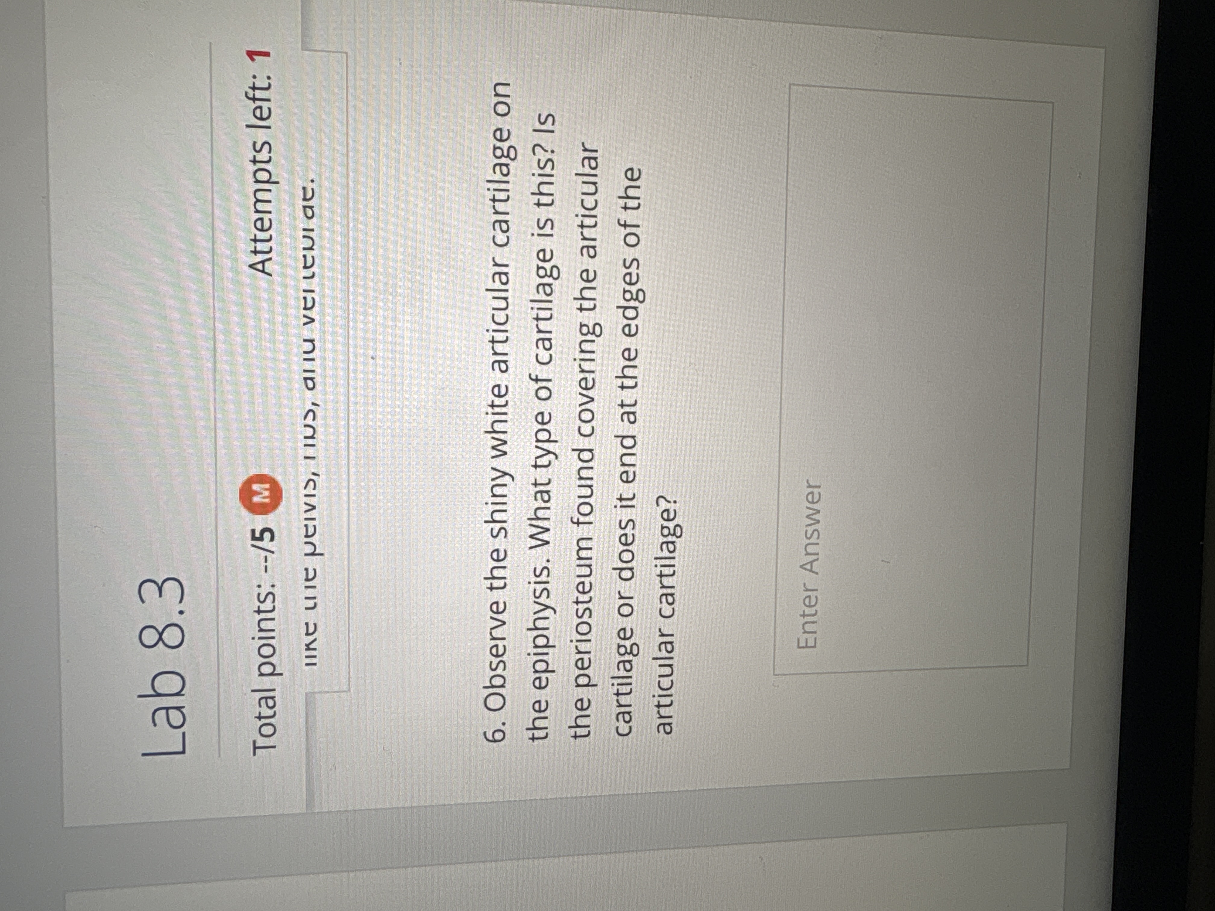 Answer Lab 8.3 Total points: --/5 M Attempts