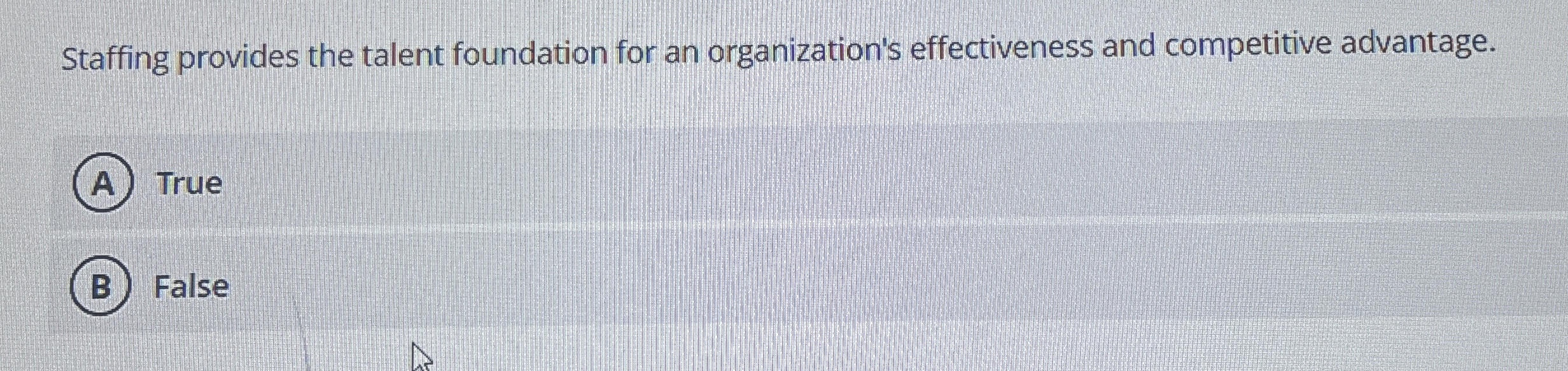 Staffing provides the talent foundation for an