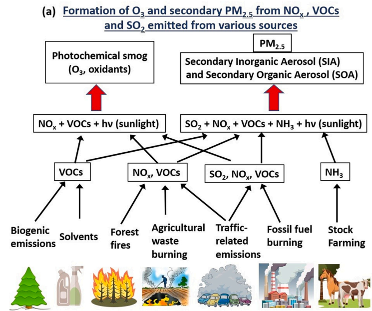 C A R E S Peer Review Feedback C Congratulate