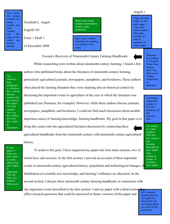 Your task is to write an essay that analyzes the