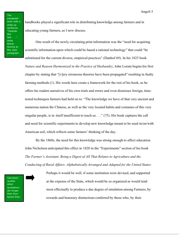 Your task is to write an essay that analyzes the