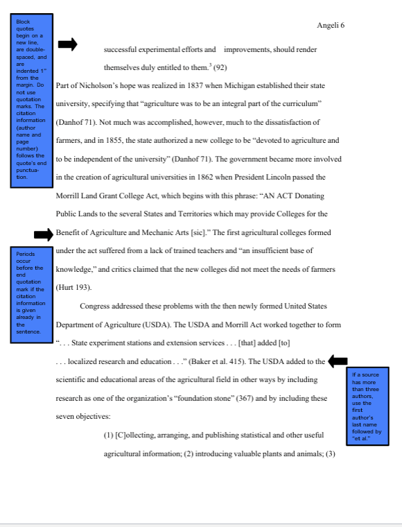 Your task is to write an essay that analyzes the